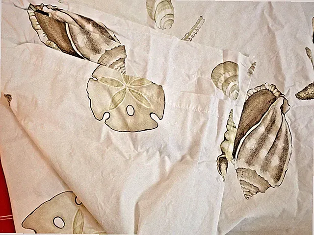 POTTERY BARN 2 Pillow Shams Seashell Coastal Beach Ocean Standard